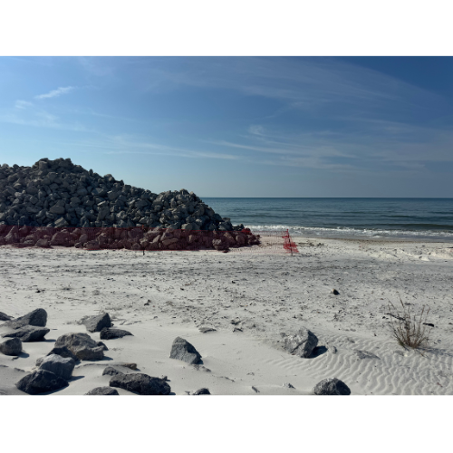 Cape San Blas update photo 11/17 #2