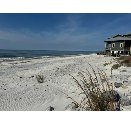 Cape San Blas update photo 11/17 #1